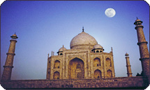 taj-tiger